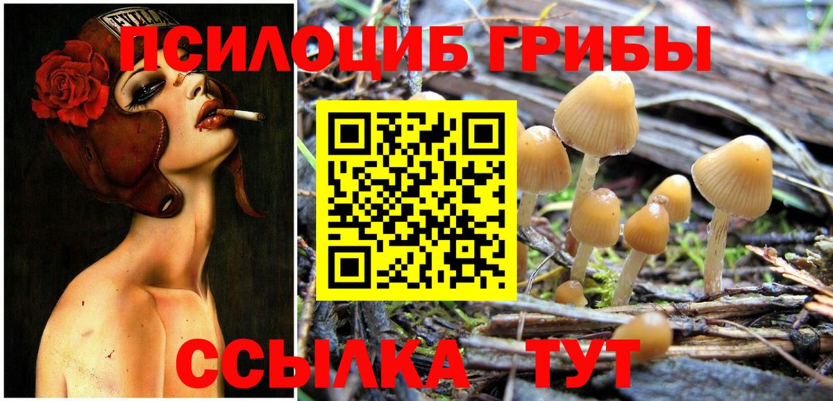 Артёмовский  Псилоцибиновые грибы прущие грибы  где можно купить   Галлюциногенные грибы Psilocybe  Вход с VPN 
