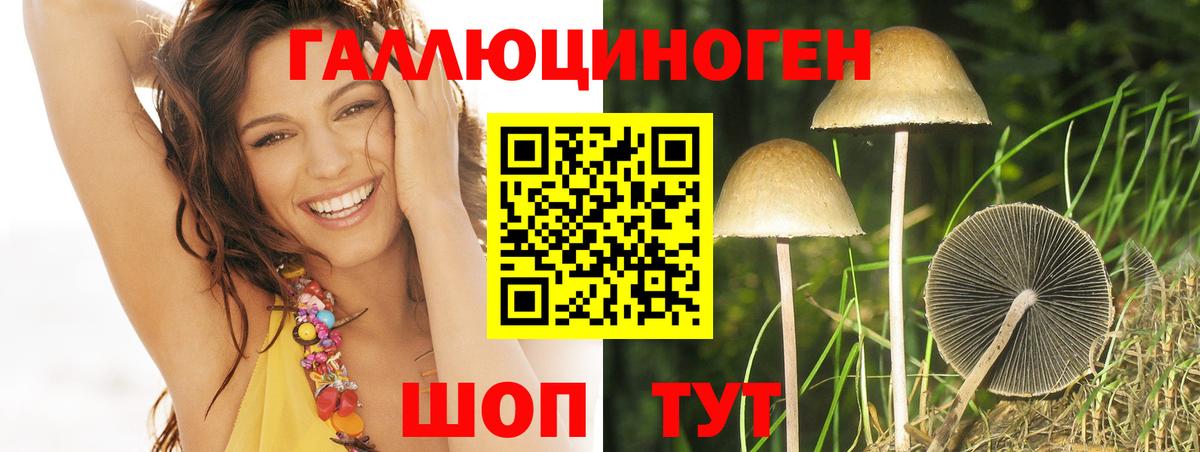 Галлюциногенные грибы Psilocybine cubensis Артёмовский